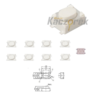 Microswitch 003